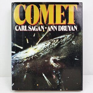 Comet First Edition Book by Carl Sagan, Ann Druyan VTG 1985 Hardcover HCDJ